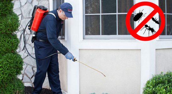 Kelkit Tahtakurusu İlaçlama böcek ilaçlama ve haşere kontrolü — ilaclama-tr.com